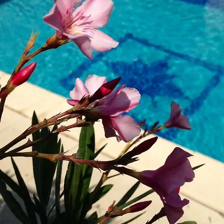 Bed & Breakfast L'autre Maison 3*